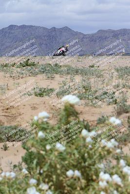 media/Apr-05-2024-Apex Assassins-CVMA Friday Practice (Fri) [[ee2ef04f2b]]/5-Trackday 1/Session 4 (Turn 9 Flowers)/